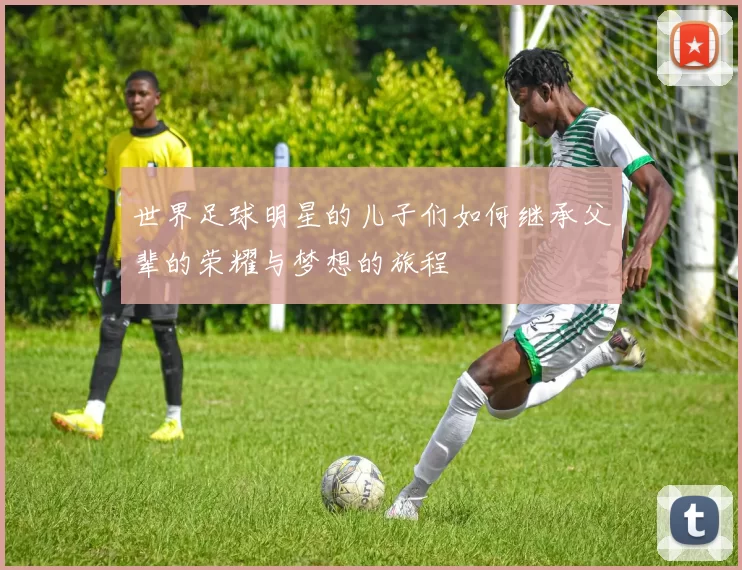 世界足球明星的儿子们如何继承父辈的荣耀与梦想的旅程