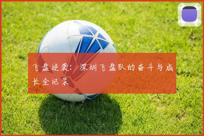 飞盘逆袭：深圳飞盘队的奋斗与成长全记录