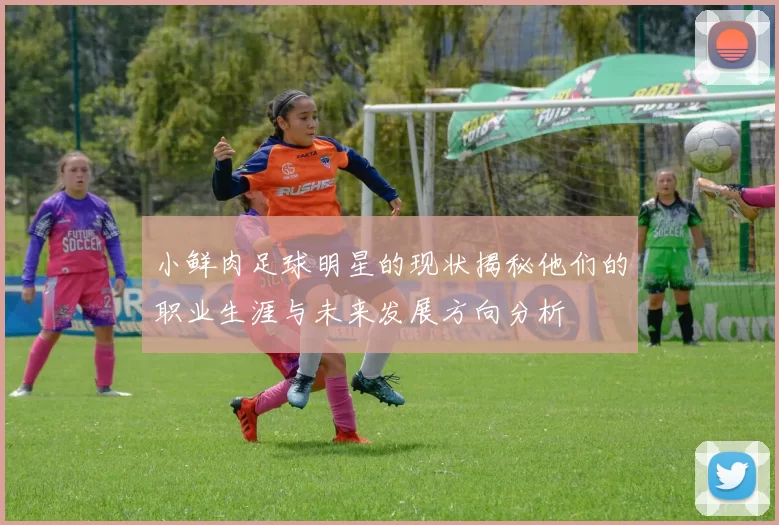 小鲜肉足球明星的现状揭秘他们的职业生涯与未来发展方向分析