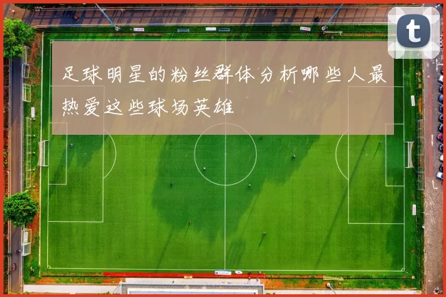 足球明星的粉丝群体分析哪些人最热爱这些球场英雄