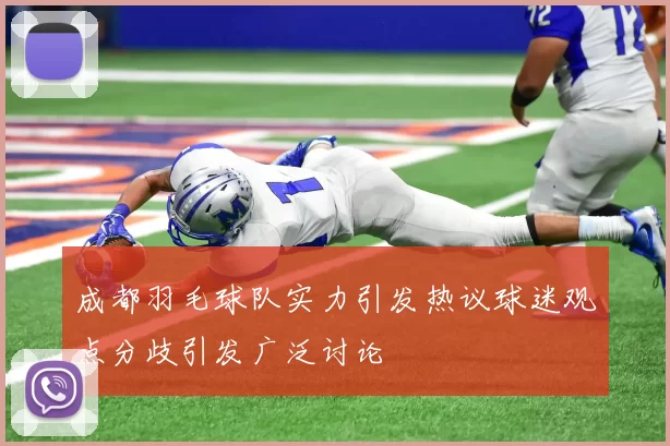 成都羽毛球队实力引发热议球迷观点分歧引发广泛讨论