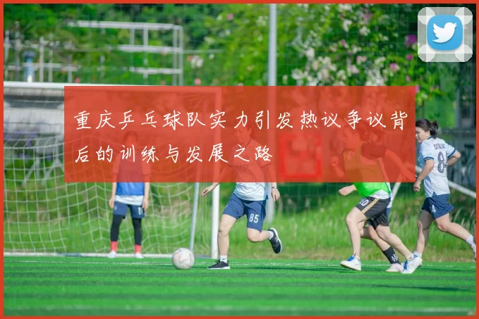 重庆乒乓球队实力引发热议争议背后的训练与发展之路