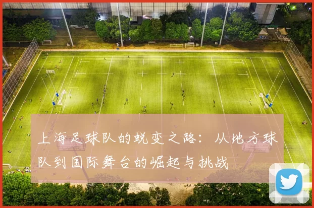 上海足球队的蜕变之路：从地方球队到国际舞台的崛起与挑战