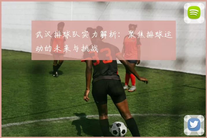 武汉排球队实力解析：聚焦排球运动的未来与挑战