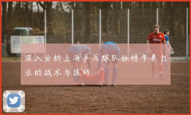 深入分析上海乒乓球队独特节奏打法的战术与技巧