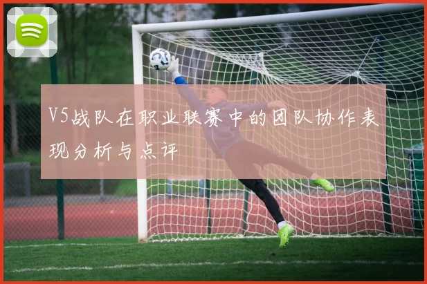 V5战队在职业联赛中的团队协作表现分析与点评