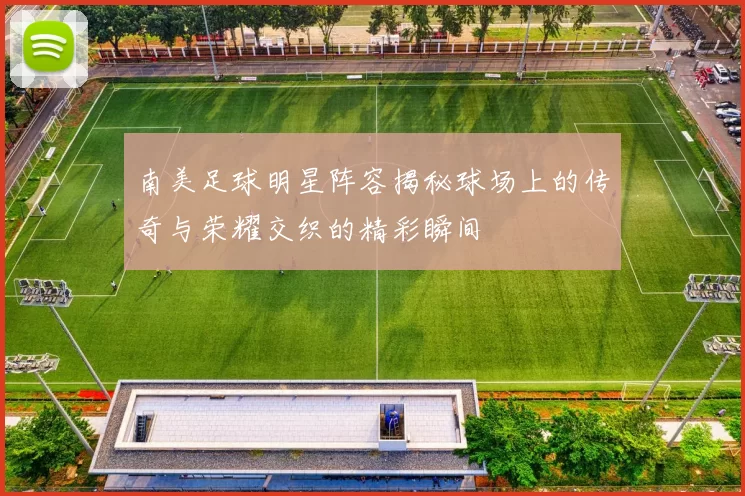 南美足球明星阵容揭秘球场上的传奇与荣耀交织的精彩瞬间