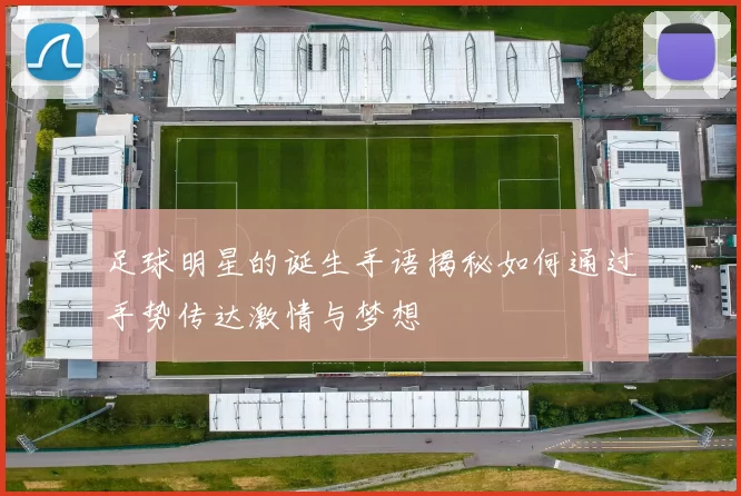 足球明星的诞生手语揭秘如何通过手势传达激情与梦想