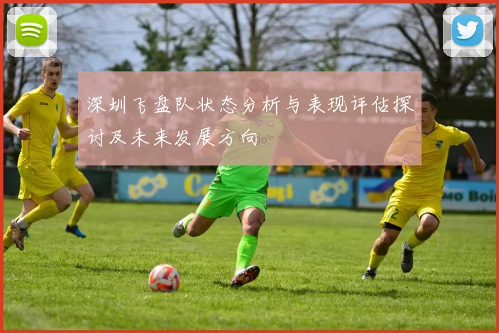 深圳飞盘队状态分析与表现评估探讨及未来发展方向