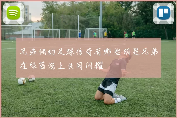 兄弟俩的足球传奇有哪些明星兄弟在绿茵场上共同闪耀