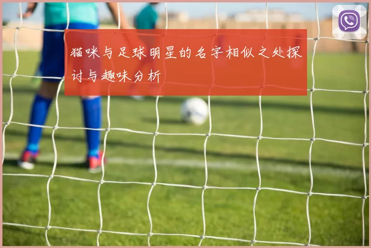 猫咪与足球明星的名字相似之处探讨与趣味分析