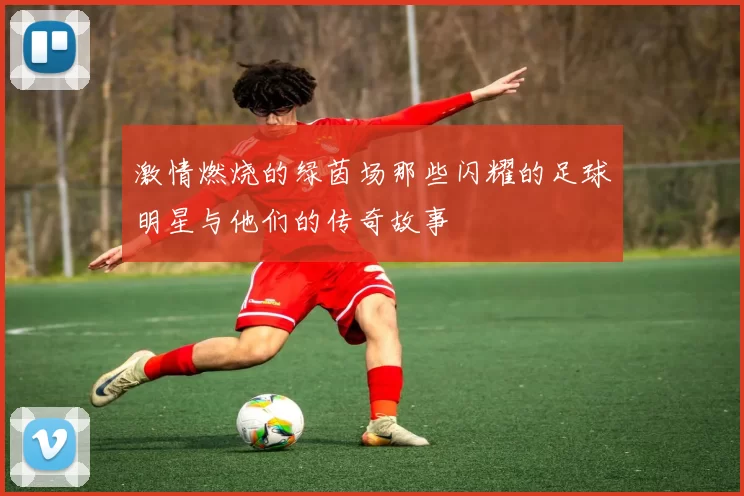 激情燃烧的绿茵场那些闪耀的足球明星与他们的传奇故事