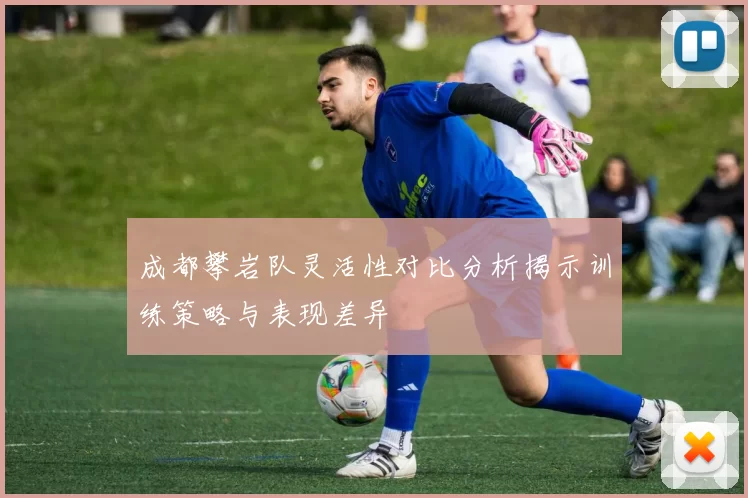 成都攀岩队灵活性对比分析揭示训练策略与表现差异