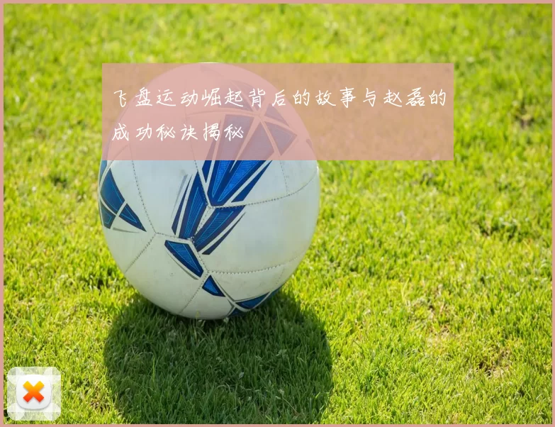 飞盘运动崛起背后的故事与赵磊的成功秘诀揭秘