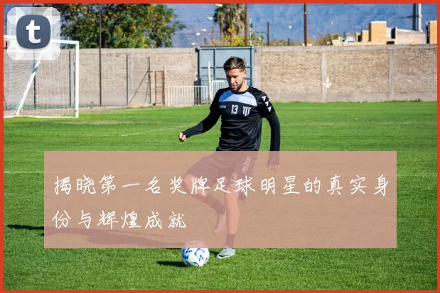 揭晓第一名奖牌足球明星的真实身份与辉煌成就