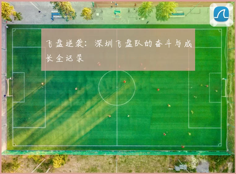 飞盘逆袭：深圳飞盘队的奋斗与成长全记录