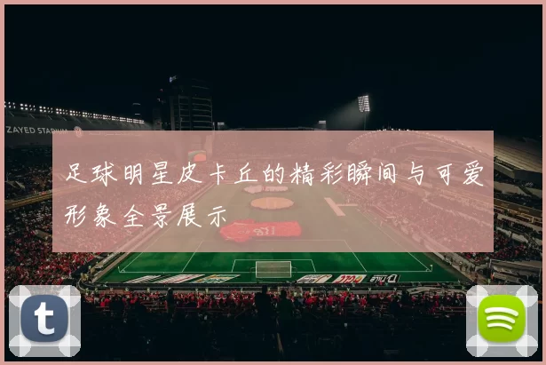 足球明星皮卡丘的精彩瞬间与可爱形象全景展示