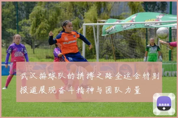 武汉排球队的拼搏之路全运会特别报道展现奋斗精神与团队力量