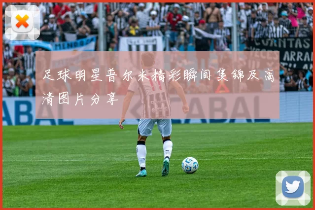 足球明星普尔米精彩瞬间集锦及高清图片分享