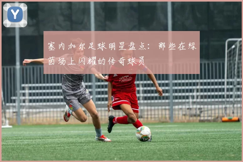 塞内加尔足球明星盘点：那些在绿茵场上闪耀的传奇球员
