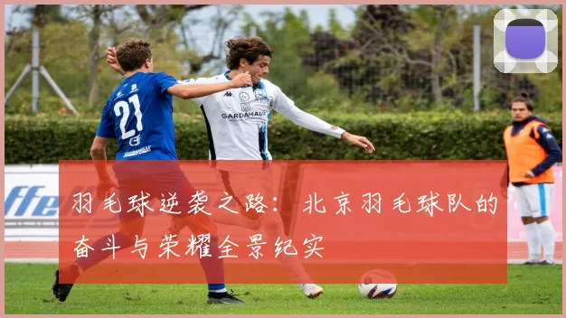 羽毛球逆袭之路：北京羽毛球队的奋斗与荣耀全景纪实