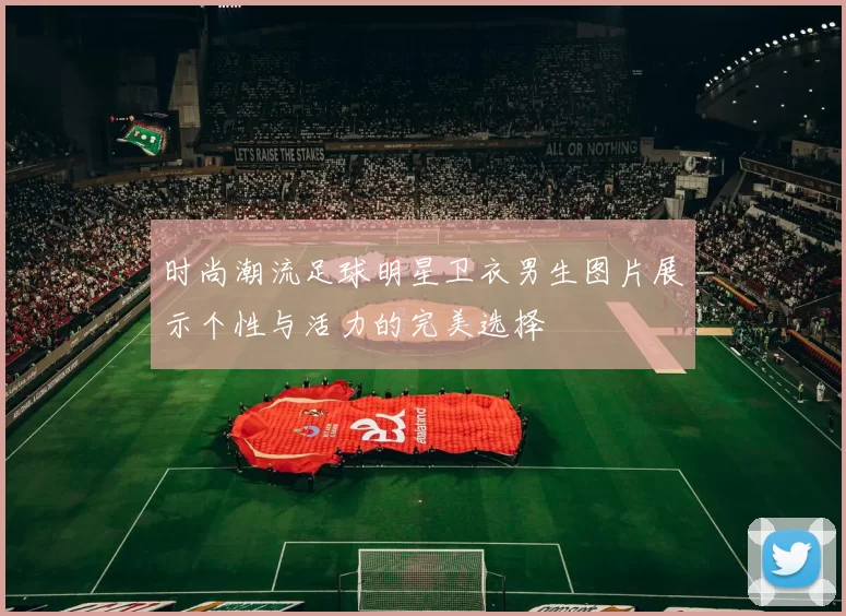 时尚潮流足球明星卫衣男生图片展示个性与活力的完美选择