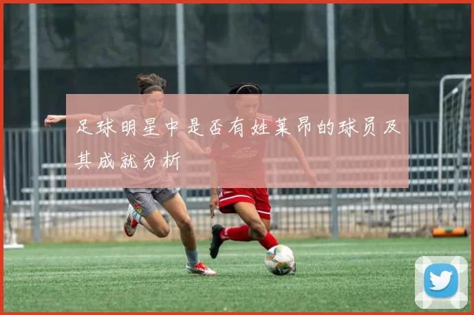 足球明星中是否有姓莱昂的球员及其成就分析