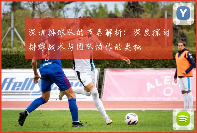 深圳排球队的节奏解析：深度探讨排球战术与团队协作的奥秘